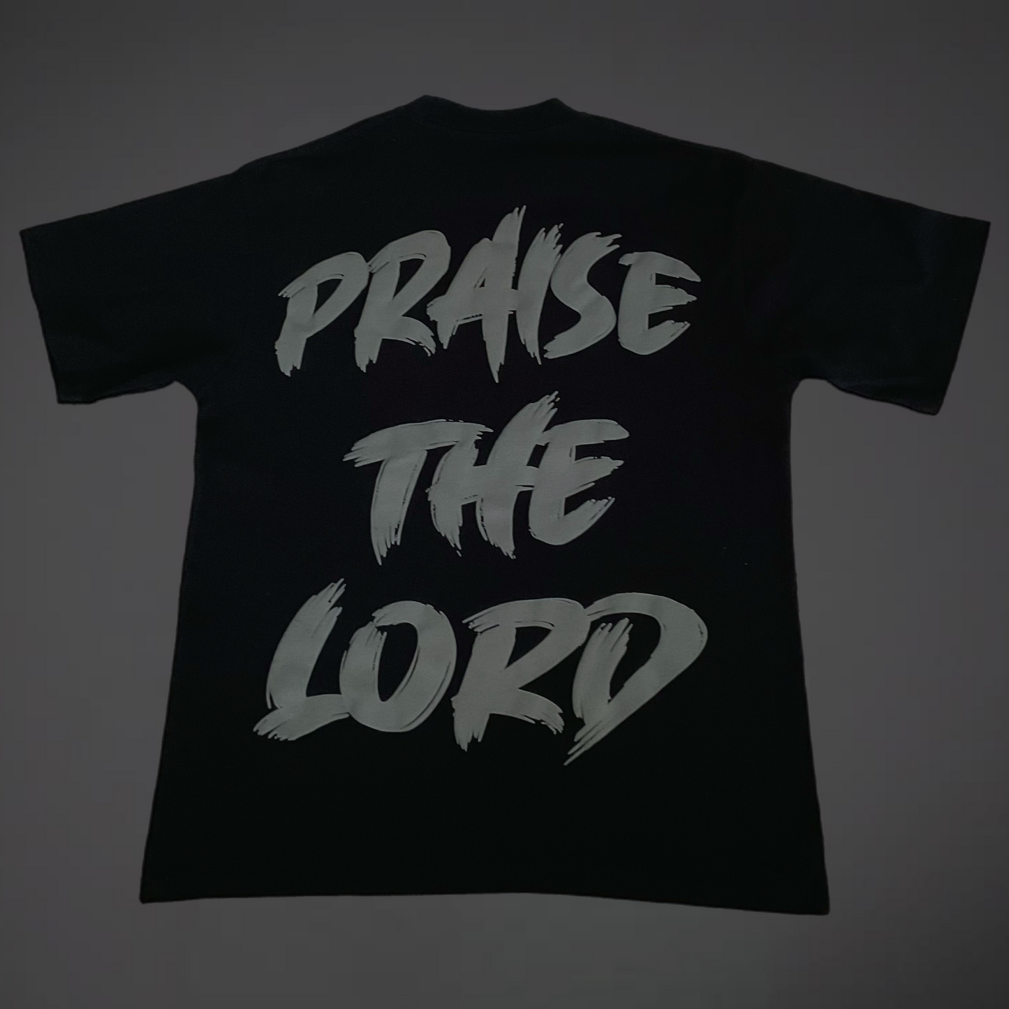 Praise The Lord